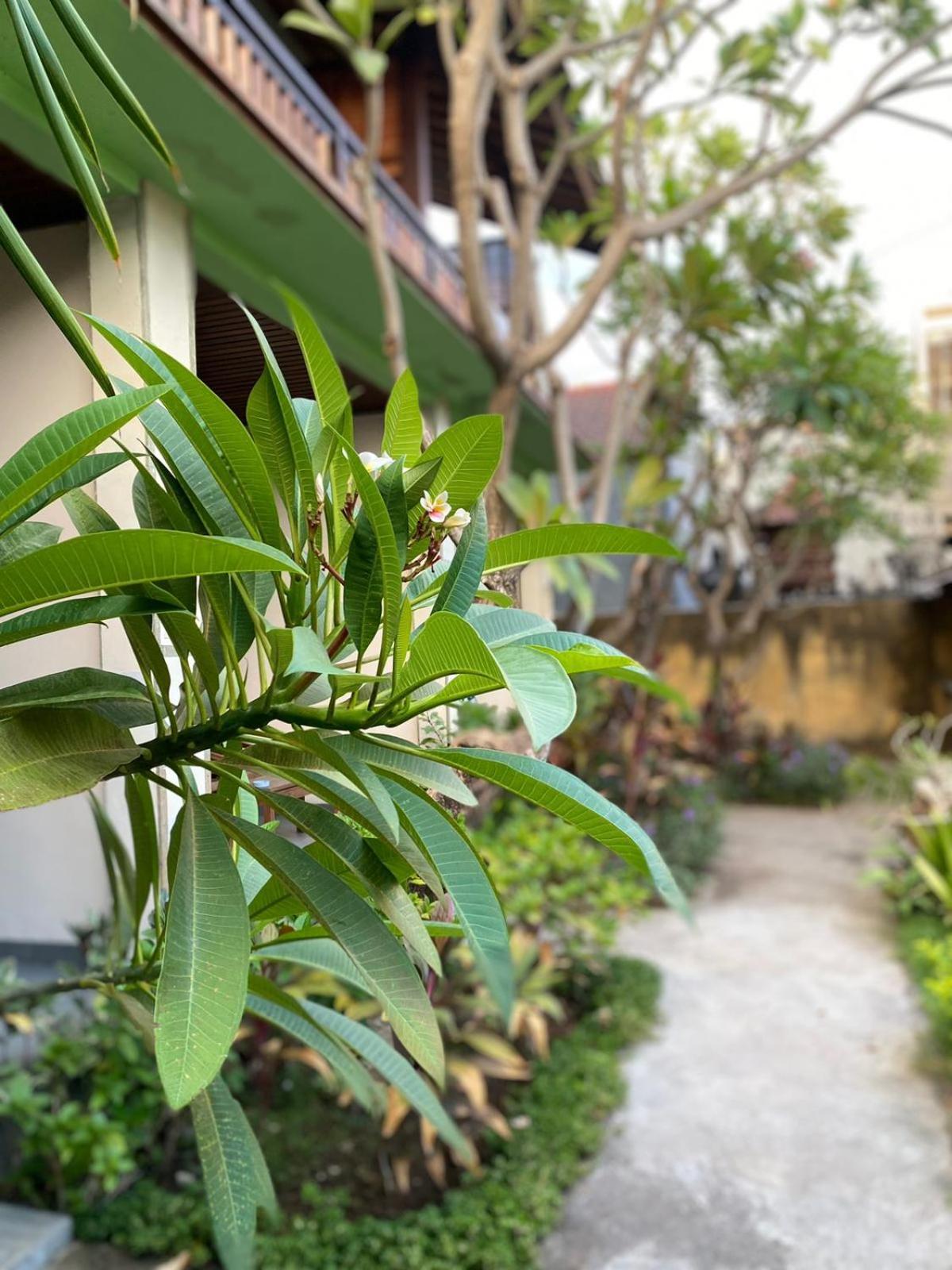 Putra'Lebah Amed Guest House エクステリア 写真